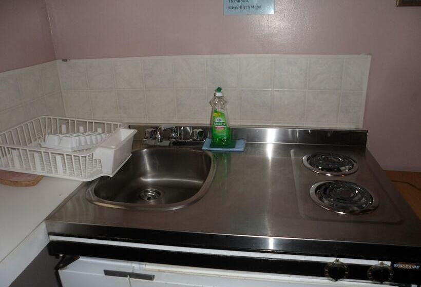 غرفة قياسية, The Silver Birch Motel