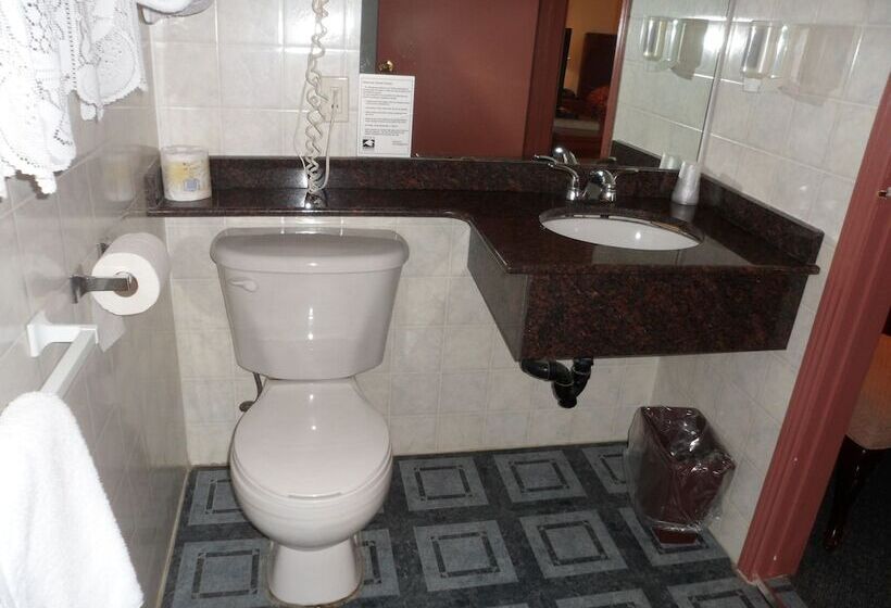 غرفة قياسية, The Silver Birch Motel