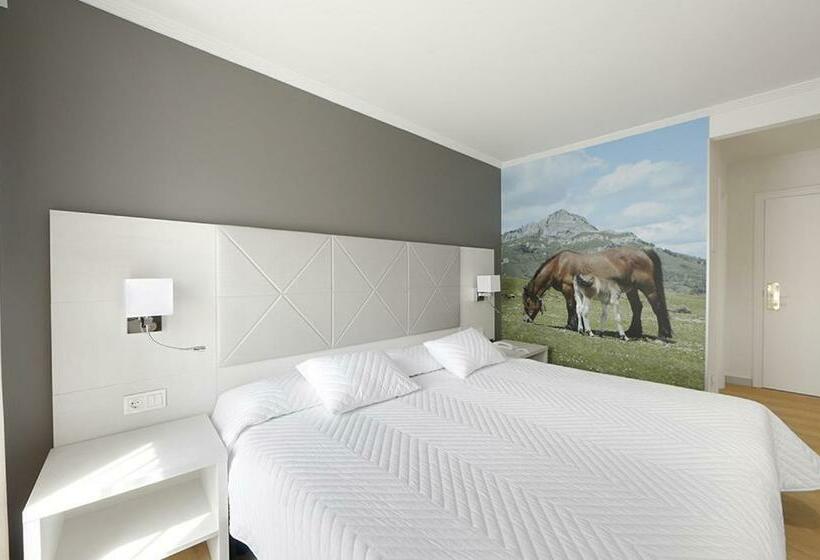 اتاق استاندارد یک نفره, Loiola