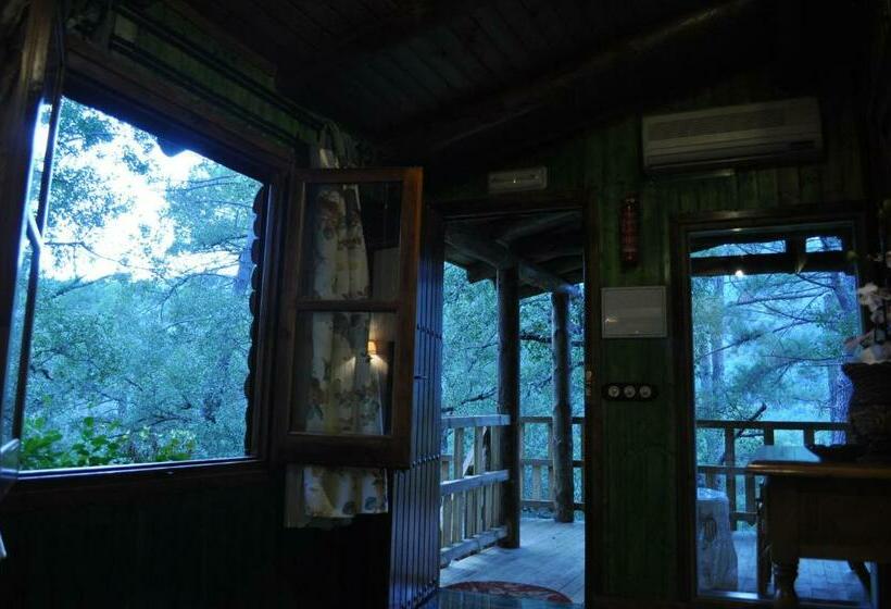 Номер Стандарт, Los Nidos De Santa Maria