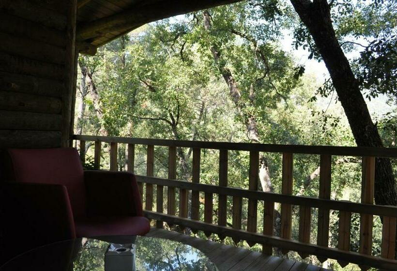 Номер Стандарт, Los Nidos De Santa Maria