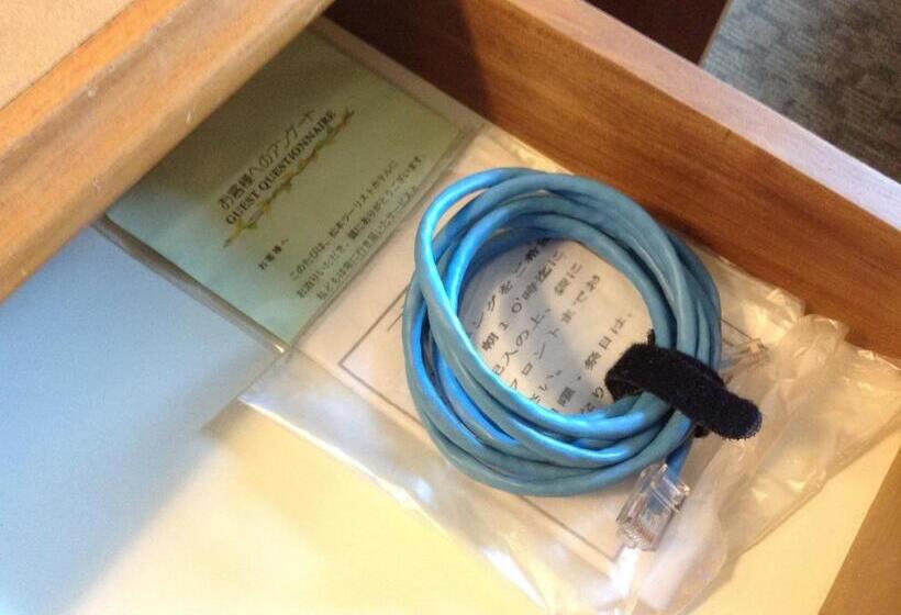 ダブルベッドのベーシックルーム, Matsumoto Tourist