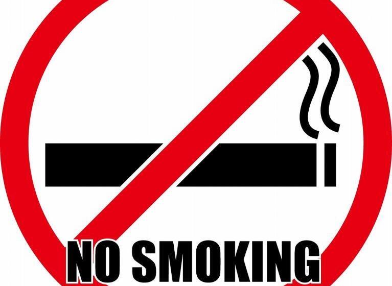 ダブルベッドのベーシックルーム, Matsumoto Tourist