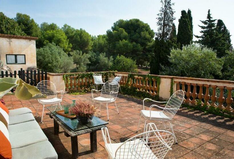 اتاق استاندارد با تراس, B&b Can Casadella