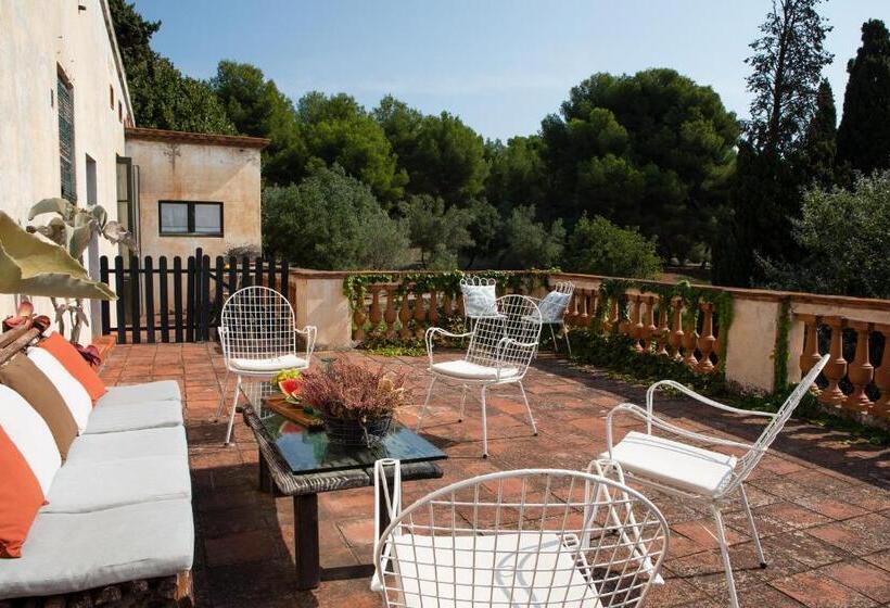 Номер Стандарт, B&b Can Casadella