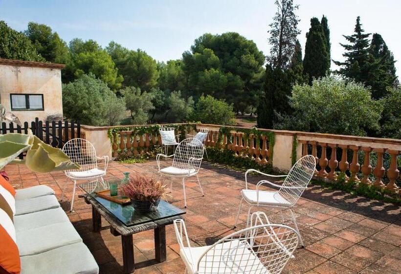 Номер Стандарт, B&b Can Casadella