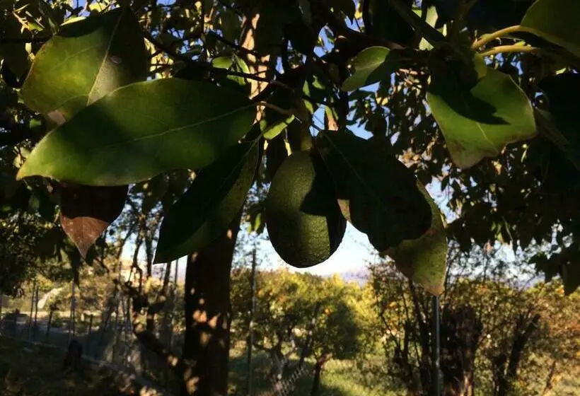 Perhesviitti, B&b Cortijo Andaluz