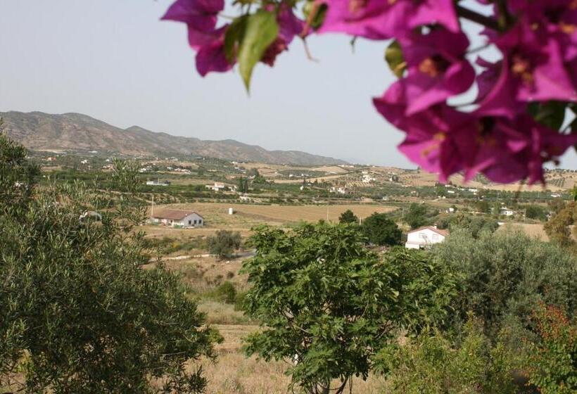 豪华工作室, B&b Cortijo Andaluz