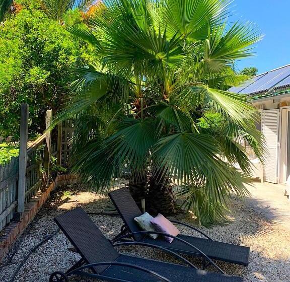 豪华工作室, B&b Cortijo Andaluz