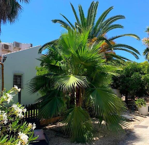 豪华工作室, B&b Cortijo Andaluz