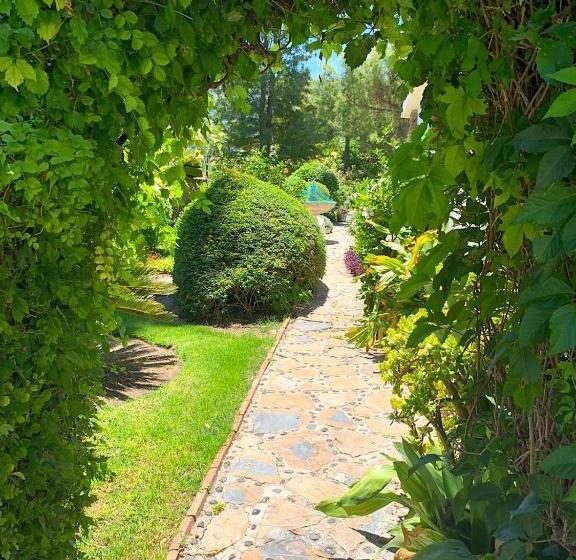 豪华工作室, B&b Cortijo Andaluz