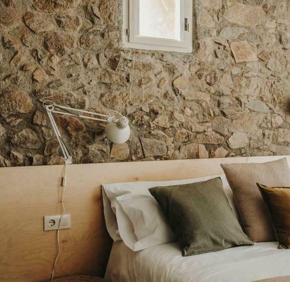 חדר סטנדרט, Paratgea