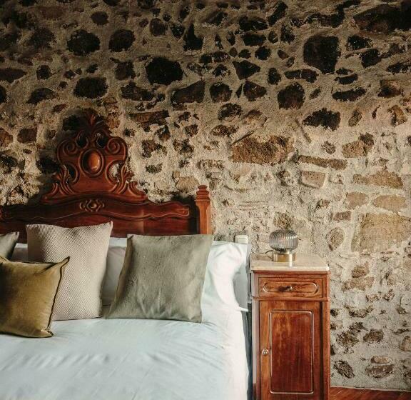 חדר סטנדרט, Paratgea