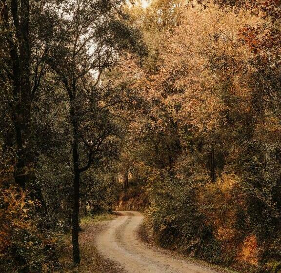 חדר סטנדרט מותאם לאדם עם מוגבלויות, Paratgea