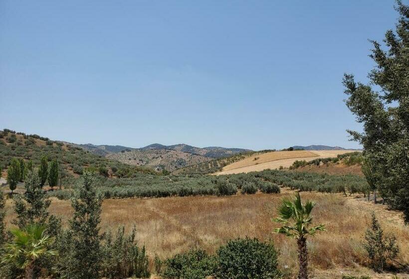 Номер Стандарт Вид на Горы, Arco Del Sol