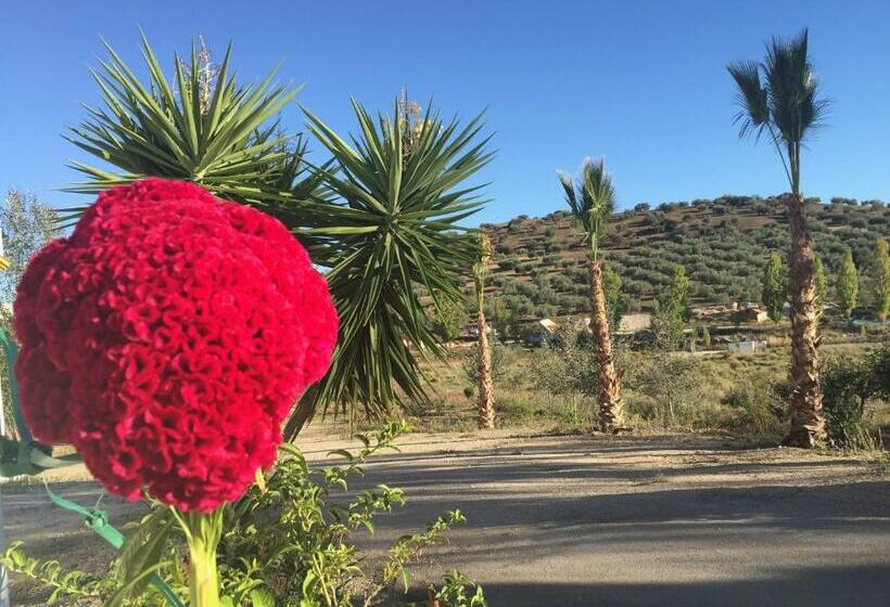 Номер Стандарт Вид на Горы, Arco Del Sol