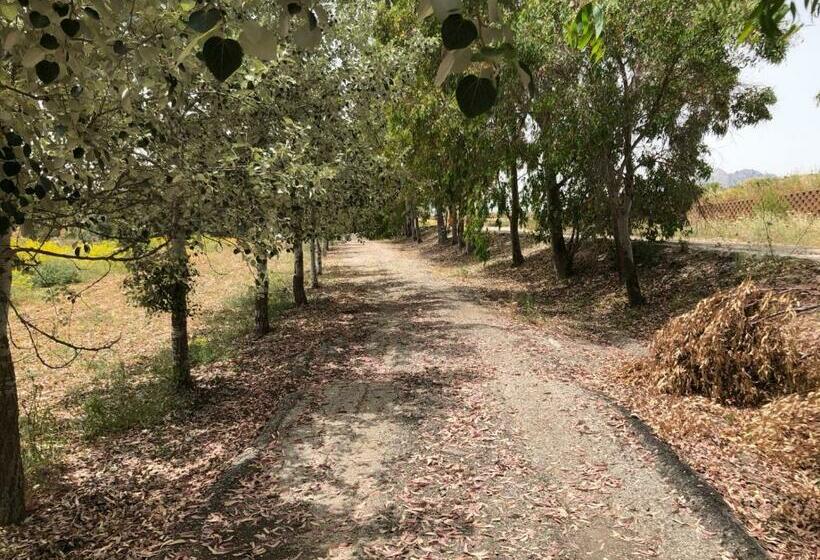 Номер Стандарт Вид на Горы, Arco Del Sol