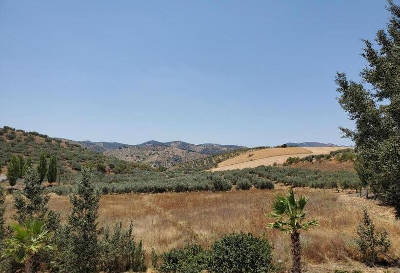 Номер Стандартный с Видом, Arco Del Sol