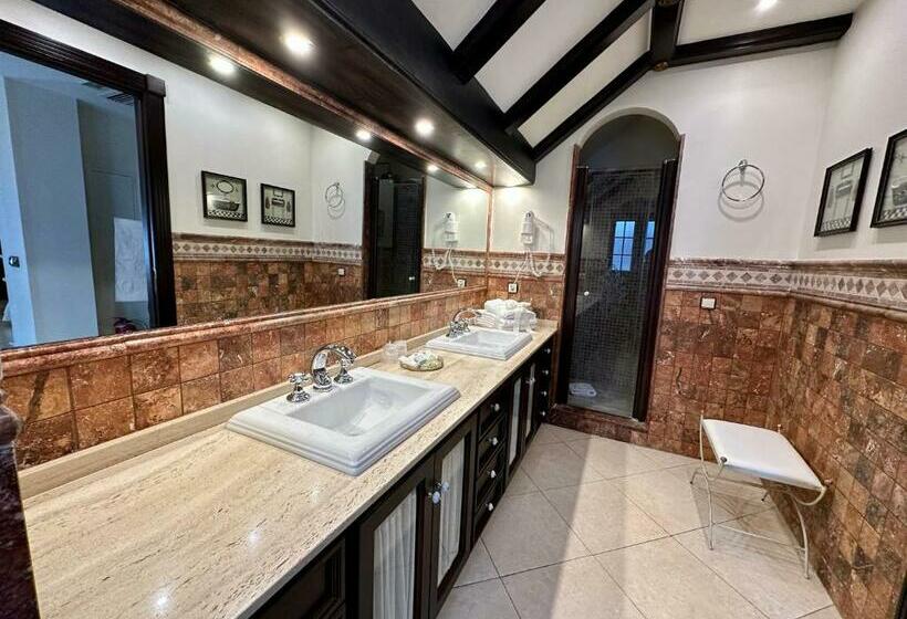 带露台的套间, Boutique Casa Veracruz