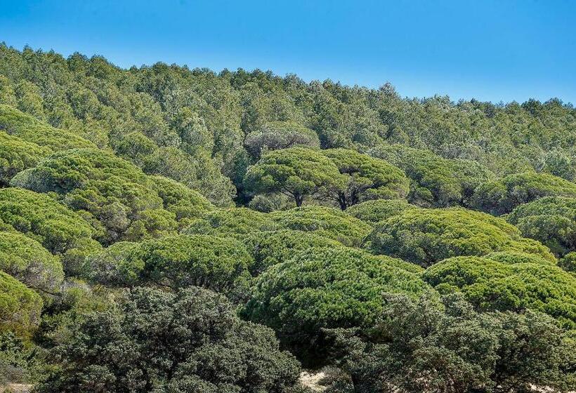 Полулюкс Вид на Горы, Labreña