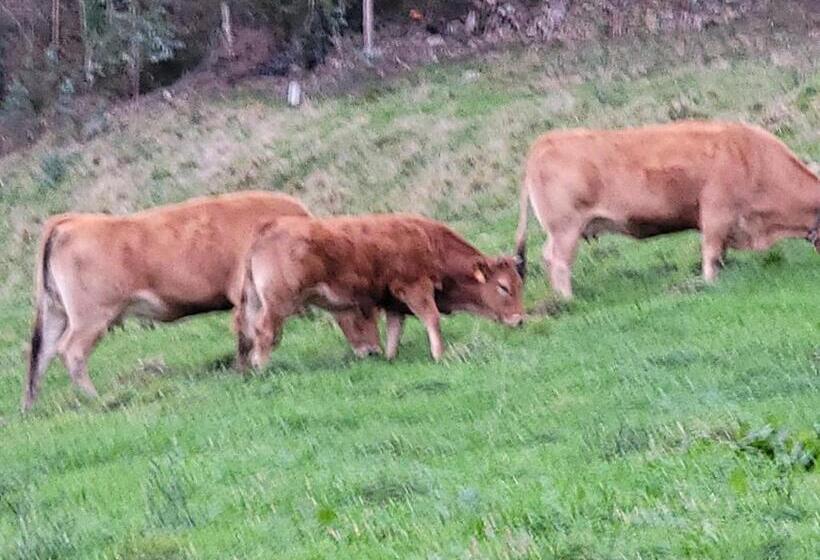 غرفة قياسية مطلة على الجبل, Restaurante El Fornon