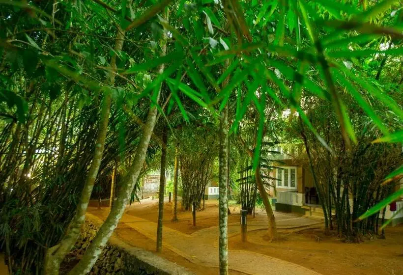 デラックスキャビン, Nexstay Lakkidi Village Resort