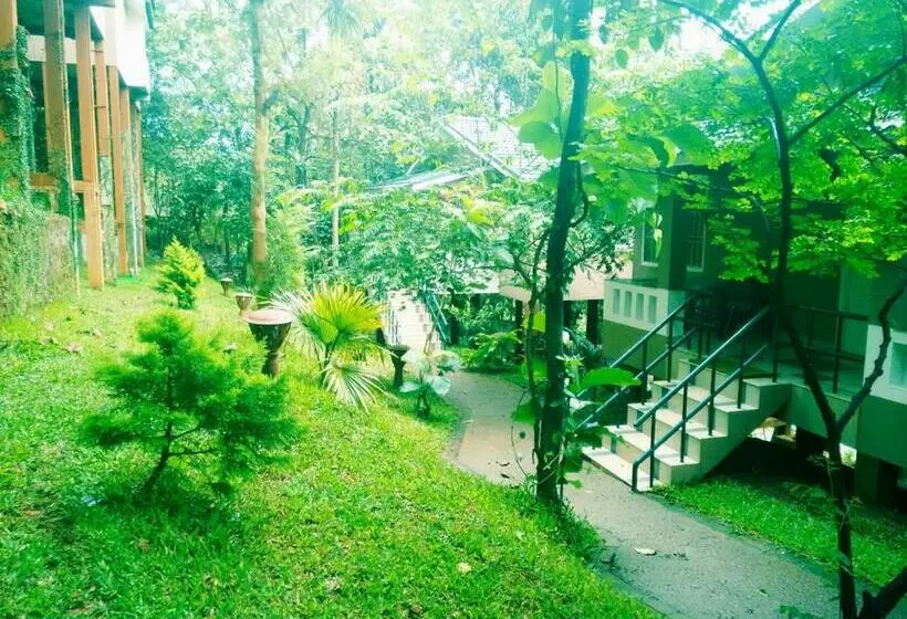 スーペリアキャビン, Nexstay Lakkidi Village Resort