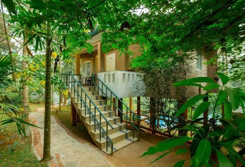 デラックスキャビン, Nexstay Lakkidi Village Resort