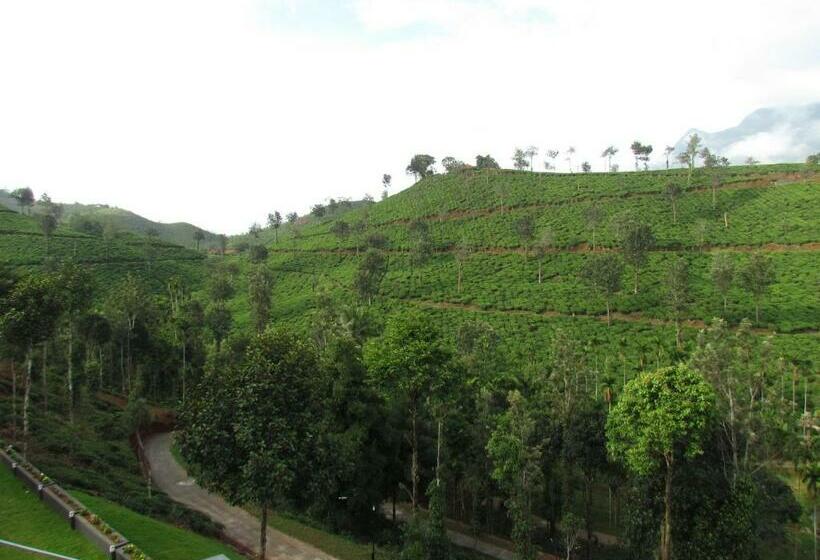 주니어 스위트, Chateau Woods