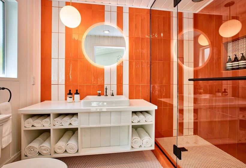 اتاق استاندارد با تخت بزرگ, Dive Palm Springs