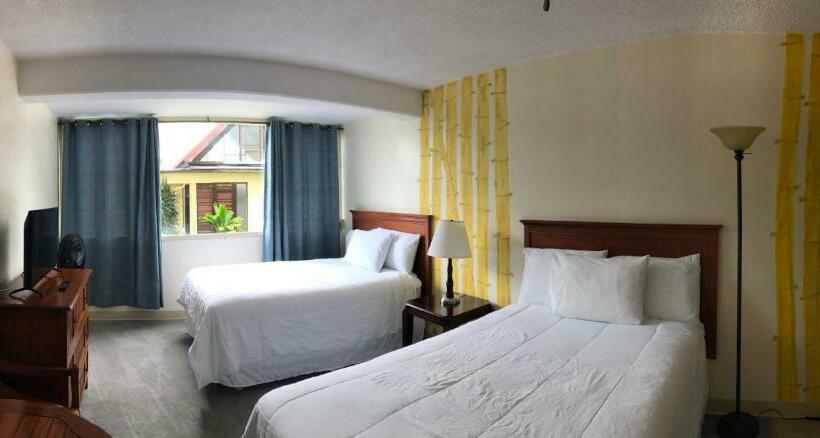 סטודיו דלוקס, Hilo Reeds Bay