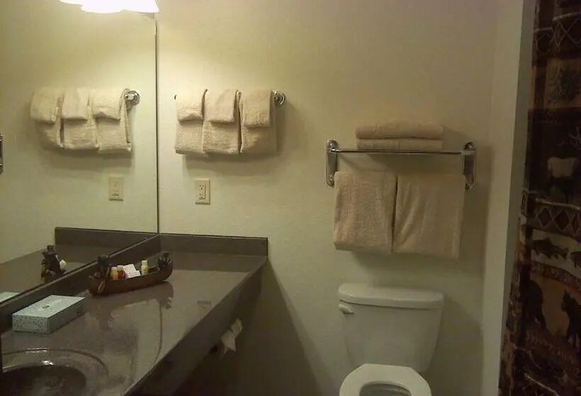 キングサイズベッドのスタンダードルーム, Junction Inn Suites & Conference Center