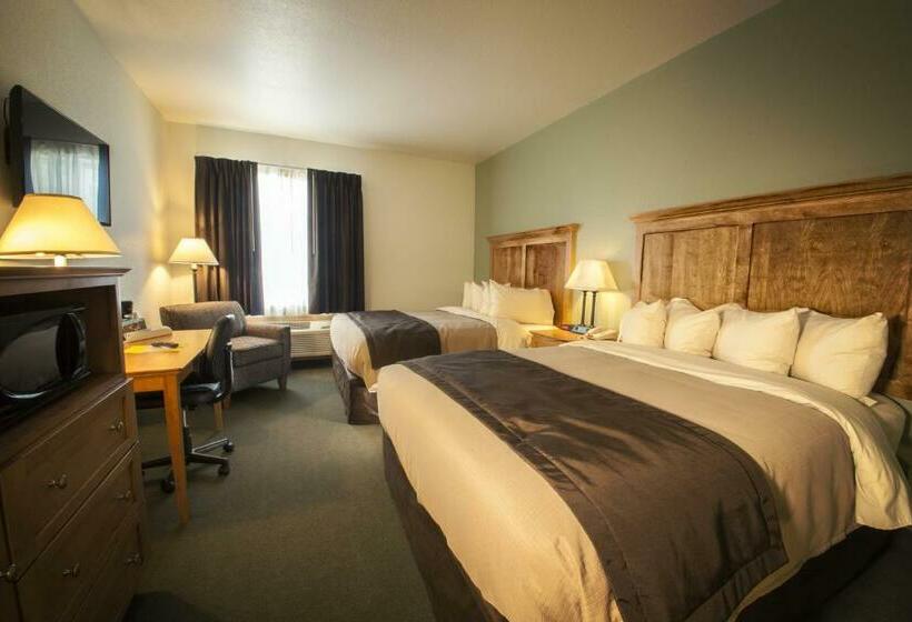 غرفة قياسية لذوى الاحتياجات الخاصة, Junction Inn Suites & Conference Center