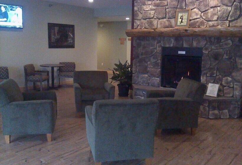 غرفة قياسية لذوى الاحتياجات الخاصة, Junction Inn Suites & Conference Center