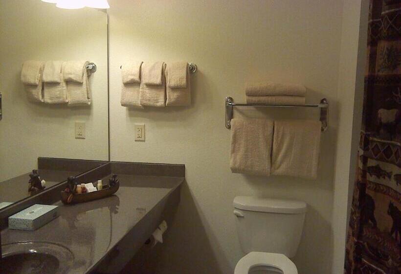 غرفة قياسية, Junction Inn Suites & Conference Center