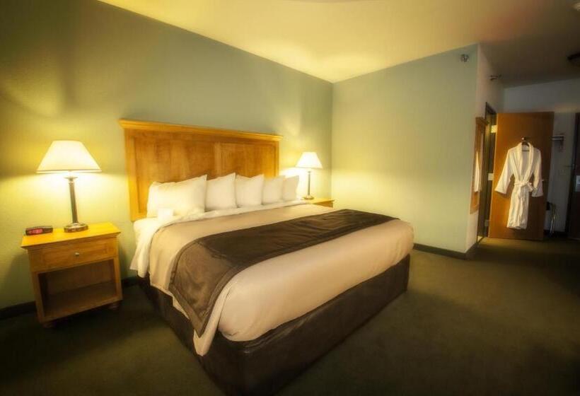 キングサイズベッドのスタンダードルーム, Junction Inn Suites & Conference Center