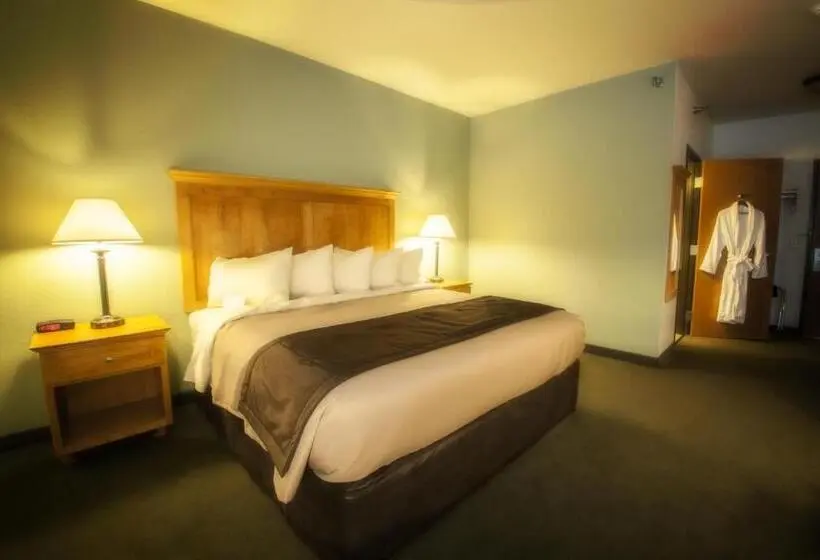 キングサイズベッドのスタンダードルーム, Junction Inn Suites & Conference Center