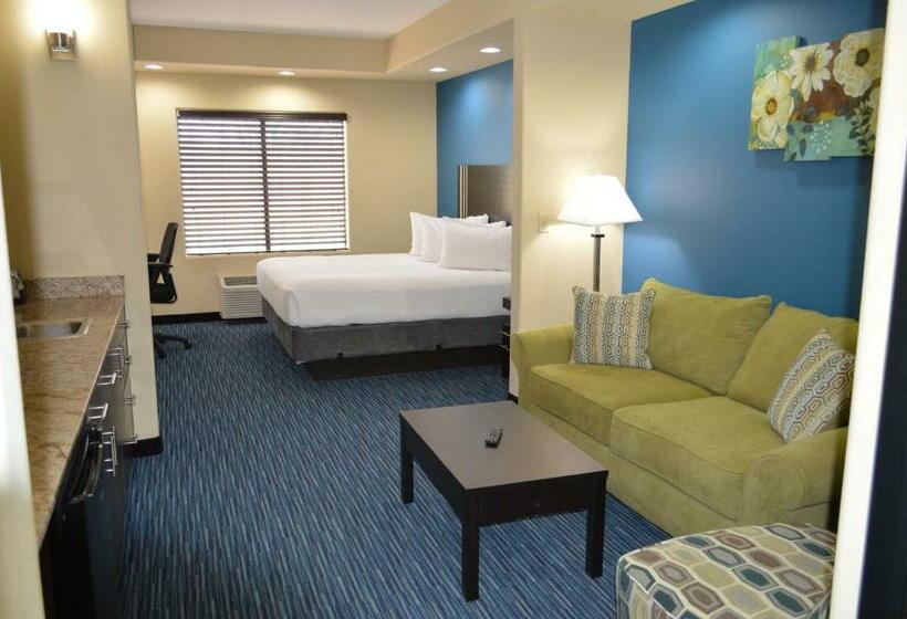 스위트 킹사이즈 침대, Karnes City Lodge By Oyo Hwy 181