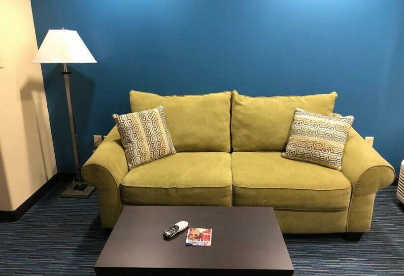 스위트 킹사이즈 침대, Karnes City Lodge By Oyo Hwy 181