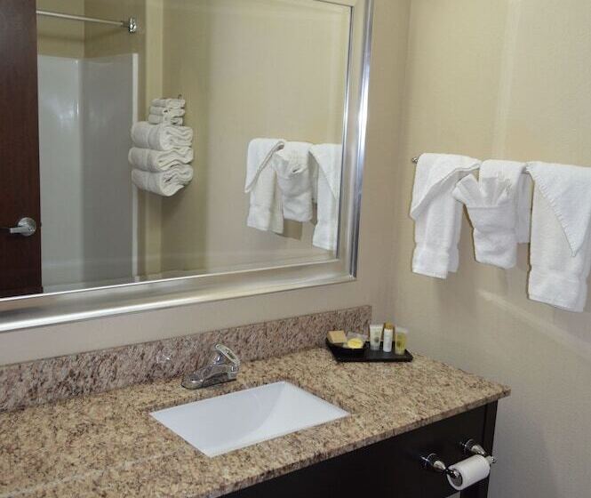 스위트, Karnes City Lodge By Oyo Hwy 181