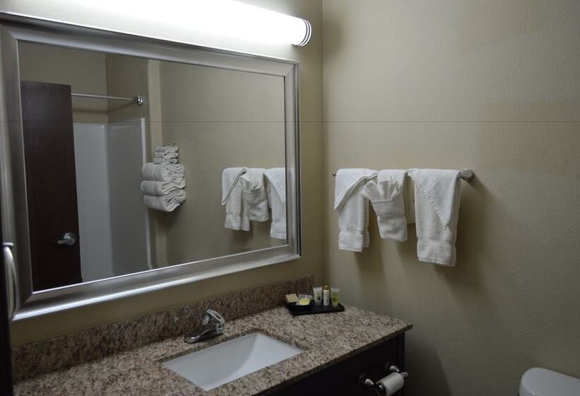 스위트, Karnes City Lodge By Oyo Hwy 181