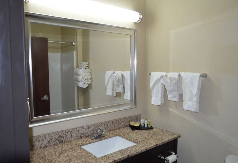 Люкс, Karnes City Lodge By Oyo Hwy 181