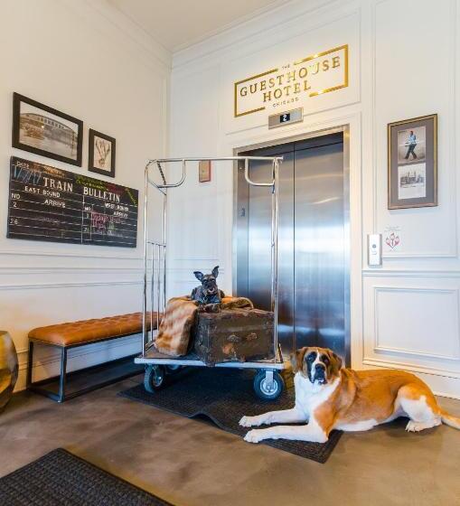 غرفة قياسية, The Guesthouse