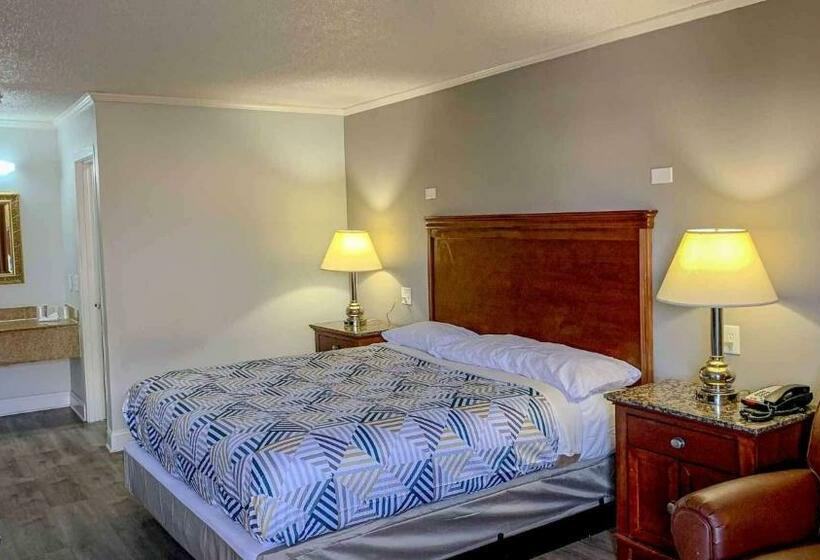 Standard Room King Size Bed