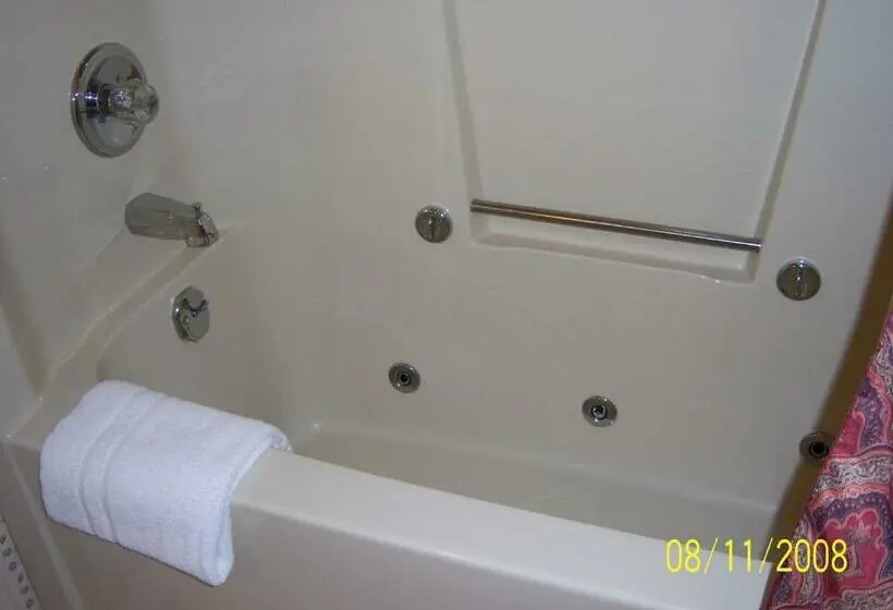 Standard-huone Poreallas, Travelers Inn Motel