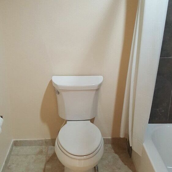 デラックスルーム, Denver City Motel