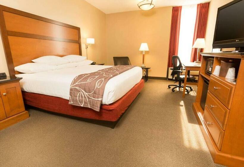 Номер Deluxe Адаптированный для Инвалидов, Drury Inn & Suites Springfield Mo