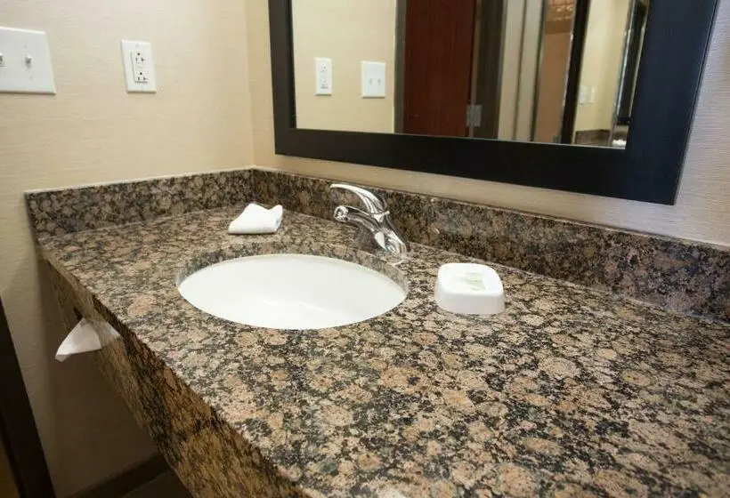 Sviitti King-vuode, Drury Inn & Suites Springfield Mo