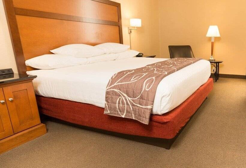 غرفة ديلوكس لذوى الاحتياجات الخاصة, Drury Inn & Suites Springfield Mo