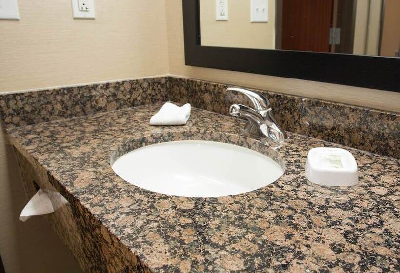 适用于残疾人士的豪华房间, Drury Inn & Suites Springfield Mo